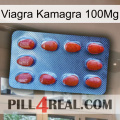 Viagra Kamagra 100Mg 06